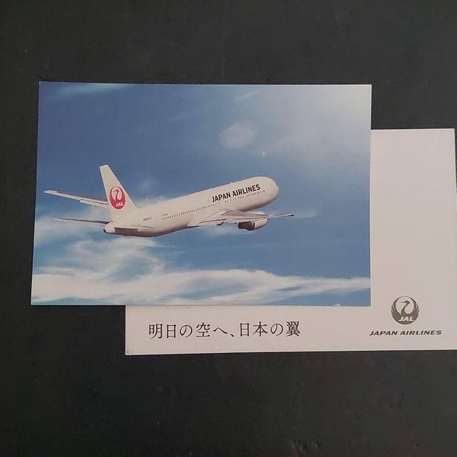 hogan　JAA  DC ―10―40  scale 　1：500 $_10.PNG?set_id=880000500F